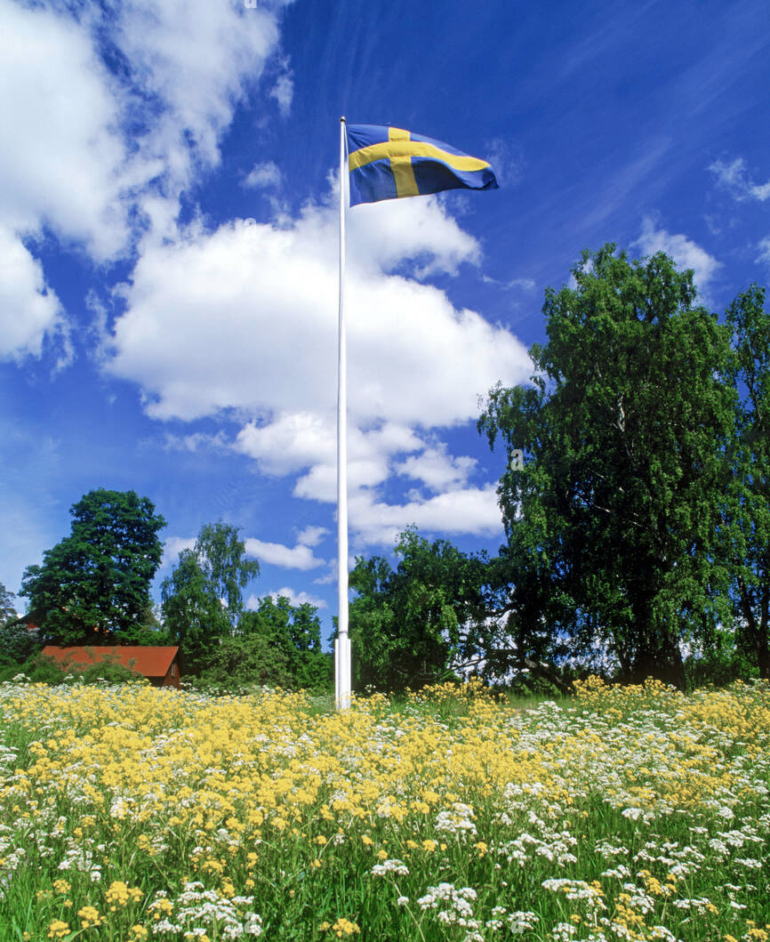 Vårkampanj Vikingmast flaggstång standard med vimpel